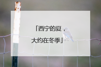 西宁的夏，大约在冬季